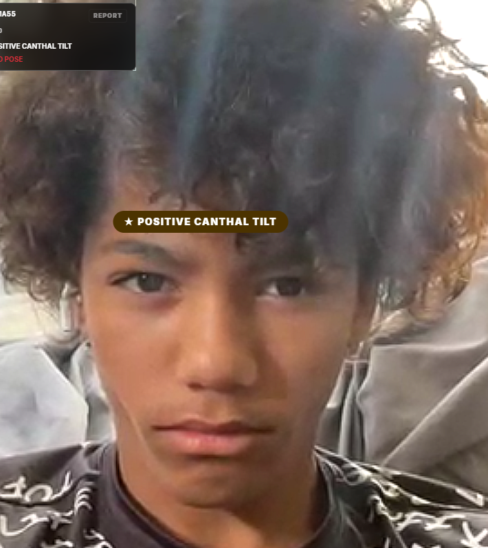 Captura de pantalla 2026-05-14 003612.png